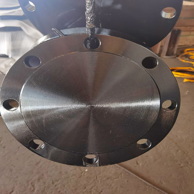 Classe D AWWA C207-07 Ring Blind Flange A105N F304 304L F316 316L da classe B