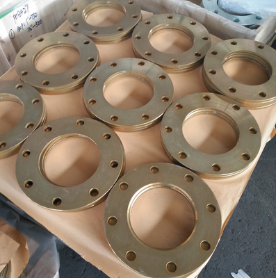Flange forjada de aço carbono de face plana Pn16 e acessórios para tubos óleo antiferrugem