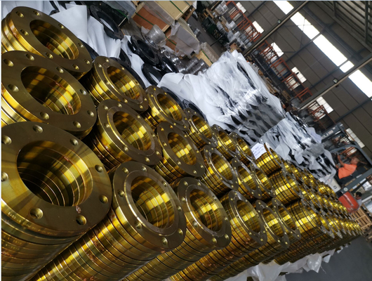 Flange forjada de aço carbono de face plana Pn16 e acessórios para tubos óleo antiferrugem