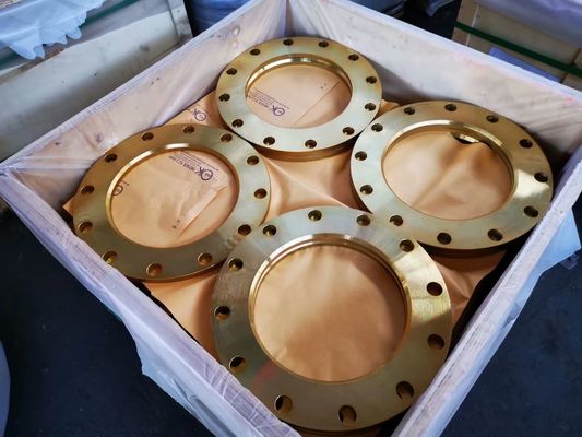 FLANGE DE PLACA PN06 DO AÇO CARBONO DE SORF P245GH PN10 PN16 PN25 PN40 PN63 PN100