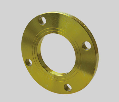 Deslizamento na FLANGE DIN2573 2576 do AÇO CARBONO de PN6 PN40 flange 2502 2503 lisa para a soldadura