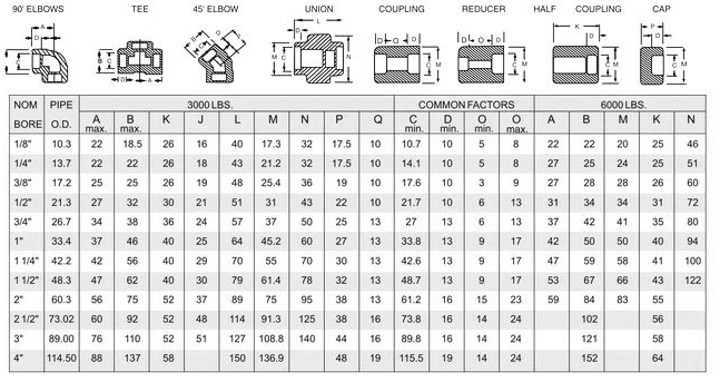 Dimensões rosqueadas de aço inoxidável dos encaixes